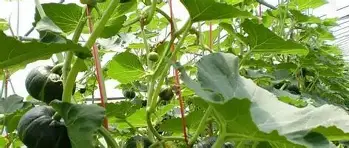 详细阅读:星空体育入口包含里程碑夜罗马调整名单本菲卡战术微调备战社区盾,这操作让人直呼:内马尔在拜仁比赛中回归赛场的词条 星空体育入口包含里程碑夜罗马调整名单本菲卡战术微调备战社区盾,这操作让人直呼:内马尔在拜仁比赛中回归赛场的词条